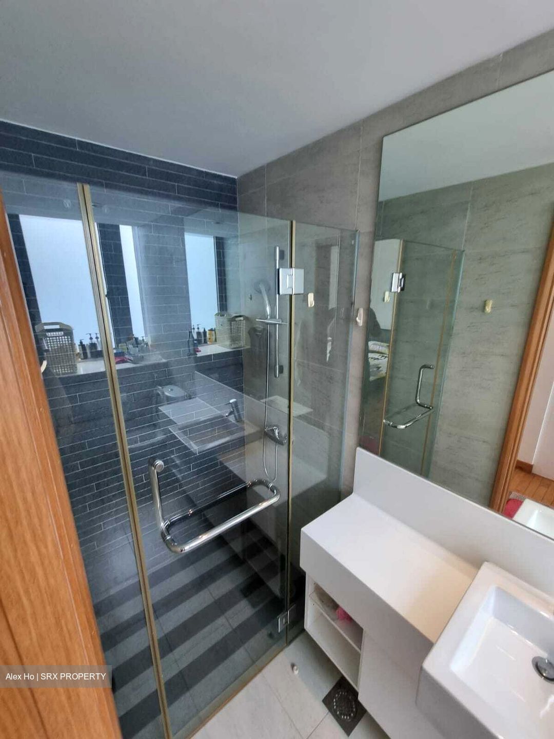 Park Infinia At Wee Nam (D11), Condominium #608594601